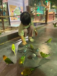 -酷嗒动物文化乐园(cutezoo西溪乐天城店)