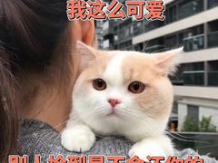 -AFS Cafe & Canteen(闽江二路店)