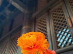 -嵩祝寺及智珠寺