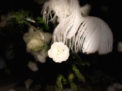 -villaa·别墅·融合菜西餐厅