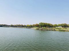 -上海都市菜园