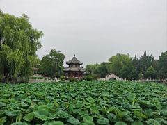 -莲池书院博物馆