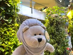 -星巴克咖啡(樟宜机场T3店)