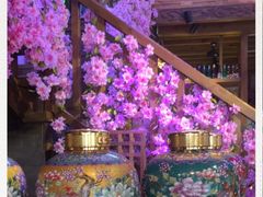 -民食香·腊排骨野生菌美食(木府店)