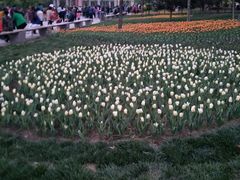 景点-长春公园(普阳街道)