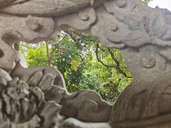 -南普陀寺