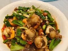 -普天和酒楼·新津菜·烤鸭(天津之眼店)