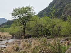 -楠溪江石桅岩