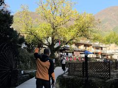 -塔川景区