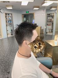 -即型男士理发工作室