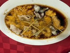 -先鲜鲫鱼粥