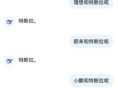 -TESLA 特斯拉(郑州正弘城体验店)