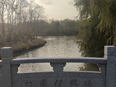 -上海海湾国家森林公园