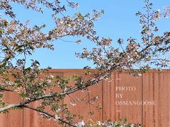 -龙美术馆(西岸馆)