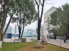 -重庆市江北嘴中央商务区中央公园