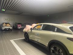 -上海浦东smart汽车全功能店(金桥店)