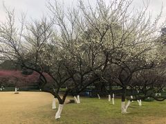 -杭州植物园