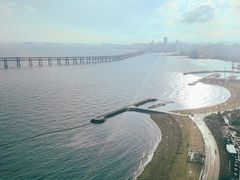 -大连君悦酒店·星海湾壹号Dalian·Dalian(星海广场店)