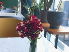 -半山腰·云南菜(侨福芳草地店)
