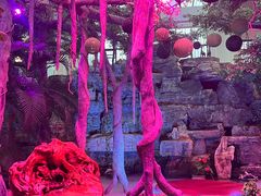 -东方华地城湿地温泉度假区