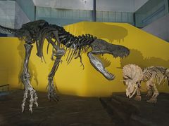 -湖南省地质博物馆