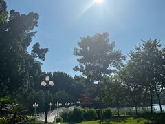 -荔枝公园(福田区)