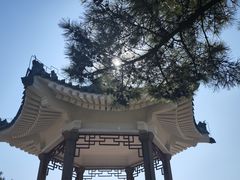 -青岛海滨风景区小鱼山