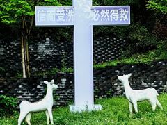 -美丽洲堂