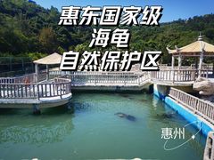 -广东惠东海龟国家级自然保护区