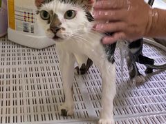 -宠颐生动物医院·小陆分院