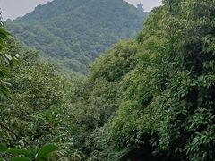 -杭州半山国家森林公园