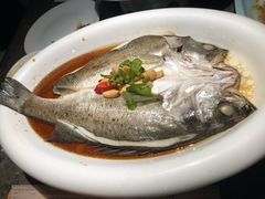 葱椒鲈鱼-绿茶餐厅(天津天河城店)