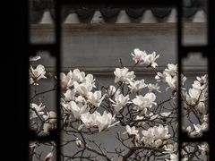 -耦园