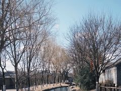 -春风习习
