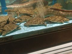 -阿伟海鲜楼·福建菜(延寿店)
