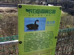 -长白岛森林公园