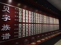 -青岛贝壳博物馆