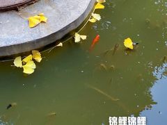 -罔极寺