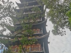 -常熟方塔园