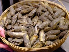 -荣轩(新荣记环球金融中心店)