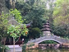 -深圳国际园林花卉博览园