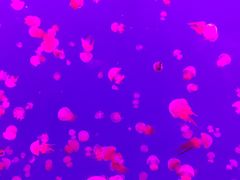 -多彩贵州城极地海洋世界