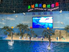-泉城欧乐堡海洋极地世界