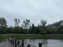 -溱湖国家湿地公园