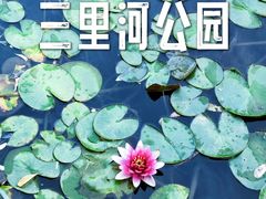 -三里河公园