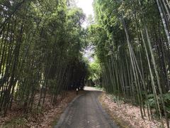 -苏州河梦清园环保主题公园