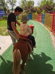 -萌宠亲子动物乐园(槐房万达店)