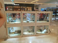 -凯德广场(西城店)