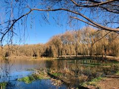 -东坝千亩湖公园