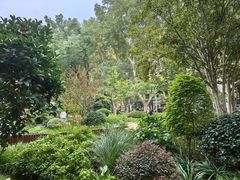 -徐家汇源景区-衡山公园